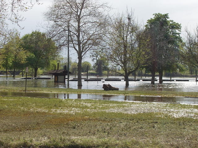 P4210038.JPG