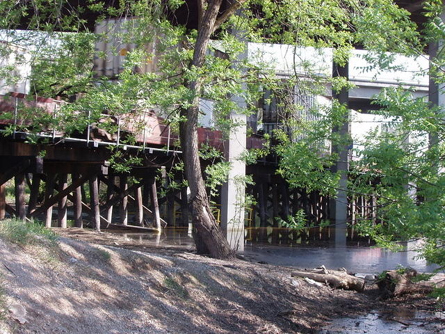 P4210040.JPG