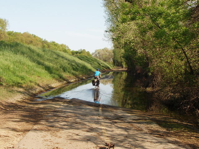 P4210043.JPG