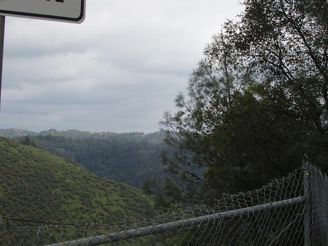 P4220051.JPG