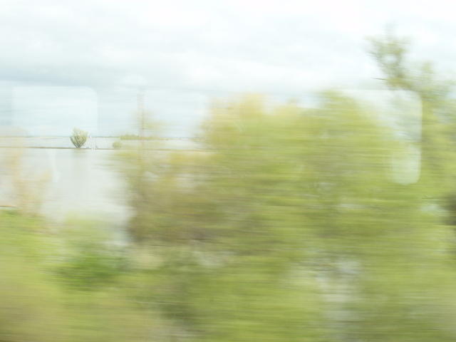 P4220067.JPG