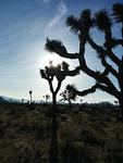 IMG 20140510 181236