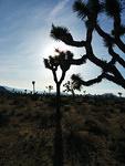 IMG 20140510 181240