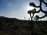 IMG 20140510 181249