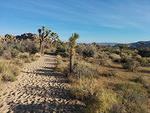 IMG 20140510 181318