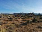 IMG 20140510 181322