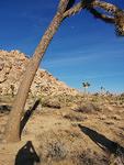 IMG 20140510 181437