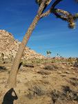 IMG 20140510 181502