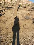 IMG 20140510 181524