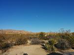 IMG 20140511 181946