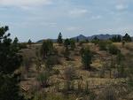 IMG 20140518 104111