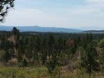 IMG 20140518 104117