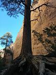 IMG 20140519 101449