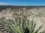 IMG 20140519 105441