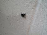 IMG 20140530 083247