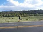 IMG 20140601 175837
