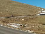 IMG 20140604 083651