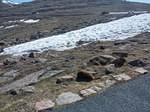 IMG 20140604 092229