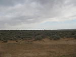 IMG 2661