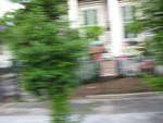 IMG 2773