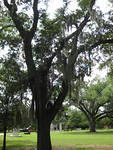 IMG 2805