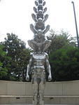 IMG 2817