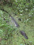 IMG 2871