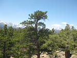 IMG 3040
