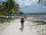 Beach Cruiser