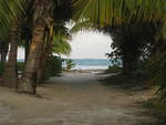 Julia's road