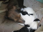 IMG 1631