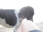 IMG 1714