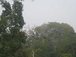 IMG 1745