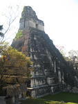 Tikal