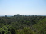 Tikal