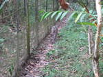 IMG 1860