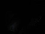 IMG 1882