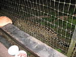 Night tour at the zoo