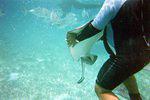 Underwater!