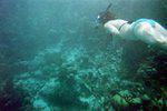 11 0012