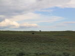 IMG_1572