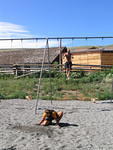 IMG_1611