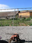 IMG_1612