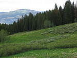 STG_1596