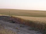 P6280115_Large