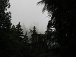 P7080076