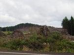 P7120123