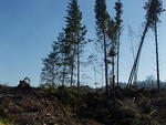 p7140130