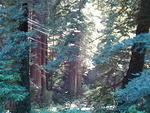 p7230224
