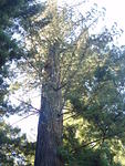 p7230226